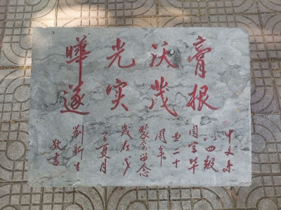 散文｜戴连强：回母校曲师大散记