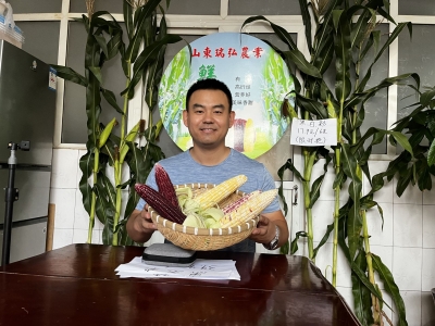 【德报·创时代】全国十佳助农达人李洋：“地摊书记”云端闯市场