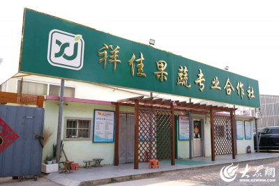 新农人丨潍坊“梦想家”蹚出2亿蔬菜共富路
