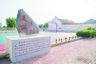 走进和美乡村 | 丁庄镇大刘村发展蔬菜大棚产业，去年村集体收入超八十万元：装满“菜篮子” 鼓起钱袋子