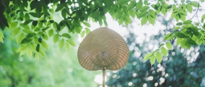 德报说节气 | 今日小暑：倏忽温风至 因循小暑来