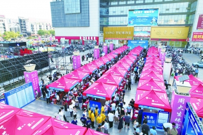 143家企业“摆摊”揽才 6000余人现场求职 | 禹城：逛着“夜市”找工作