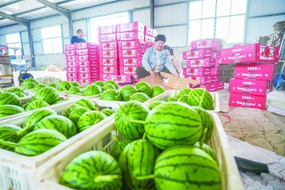  走进和美乡村 | 赵虎镇贾庄村：做特色 打品牌 拓富路