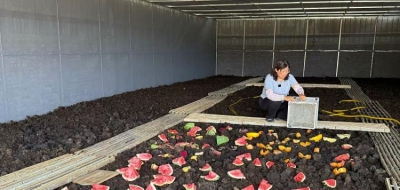 我是一亿分之一丨张青：从农机手到致富带头人，靠养虫实现“粪土变黄金”