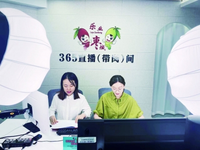 乐陵：擦亮“乐业梦想 ‘就’在枣城”品牌