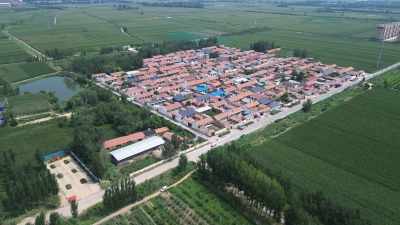 全国文明村荆家村：环境美 民风好 群众富