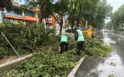 清路障 护安全 | 德州市园林绿化服务中心全力迎战强对流天气