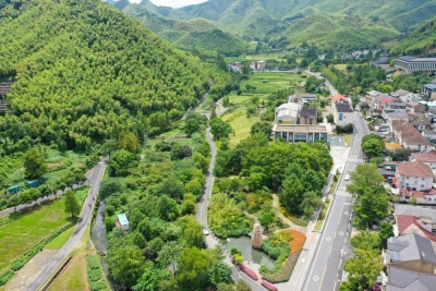 诗 | 傅延芝: 谁偷走了您的岁月——致母亲