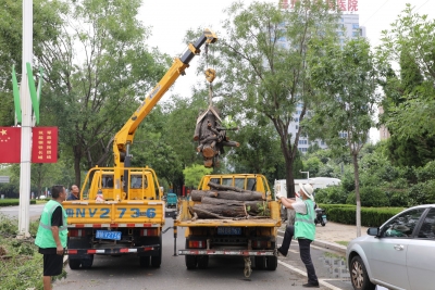 我市各部门单位迅速行动，应对强对流天气影响：清除倒伏树木  疏通道路积水