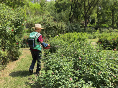 德州园林：多维发力  织密蚊虫防控网