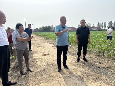 赵虎镇麦香书院：麦香铺满文化路 幸福种进心窝里