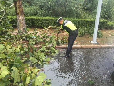 德州交警：一场雨，一座城，风雨中的“守路人”！