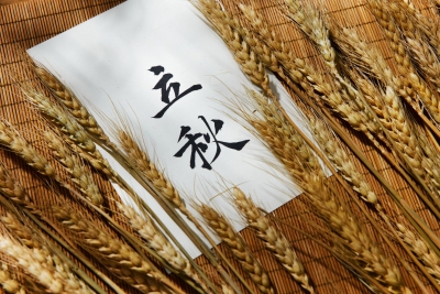 德报说节气 | 今日立秋！夏意犹未尽，忽闻秋已来