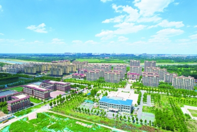 省生态环境厅派驻乐陵铁营镇第一书记：帮到位扶到底  助村驶上幸福快车道