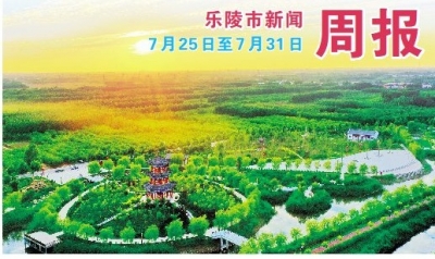 乐陵市新闻周报（7月25日至7月31日）