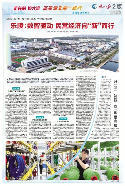 走在前 挑大梁 高质量发展一线行 | 乐陵：数智驱动 民营经济向“新”而行