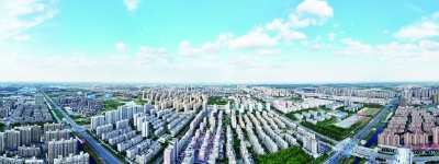 乐陵：枝叶关情处 幸福正生长
