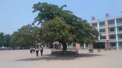 散文｜祖新兰：三十年前的开学记忆