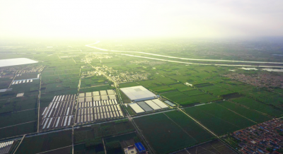 诗｜康丙云：秋夜