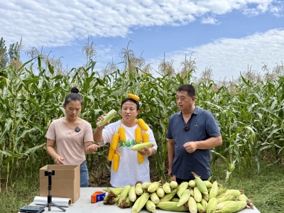 乐陵丁坞镇：“助农直播”志愿服务项目拓宽群众增收路