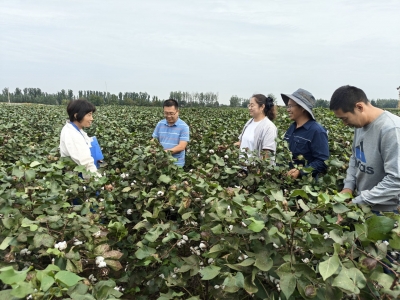 丰收节特刊 | 德州市农科院创新“六建六地六通”机制服务三农