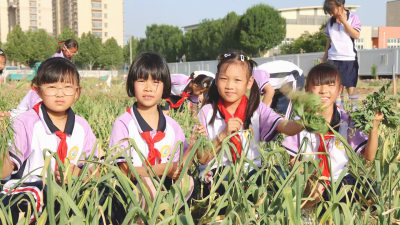 教师节特刊 | 平原县文昌小学：特色课程助学生全面成长