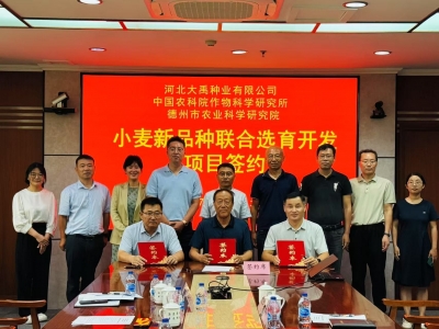 丰收节特刊 | 德州市农科院科研能力稳步提升