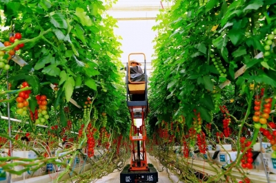 德州天衢新区：定制创意在田间“发芽”