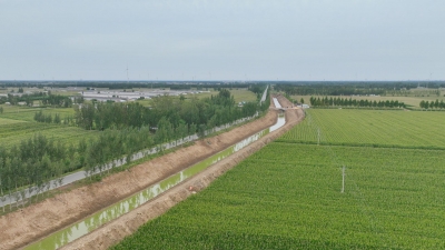 疏通“毛细血管” 打通灌溉“末梢”丨德州市加快治理全域乡村河道沟渠