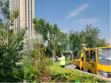 德城园林：开展蚜虫专项防治  为城市绿植“保驾护航”