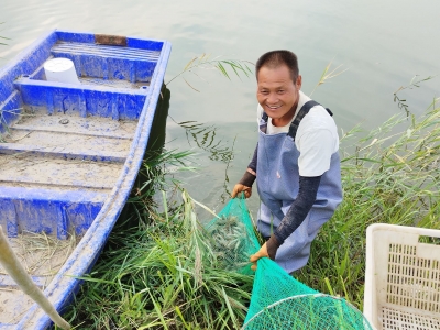 闲置坑塘年“生金”400万元 | 庆云：特色养殖富农家