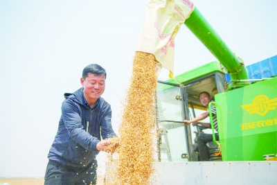 从“吨半粮”到“食品名市”，德州市人大常委会以人大监督护粮安促振兴