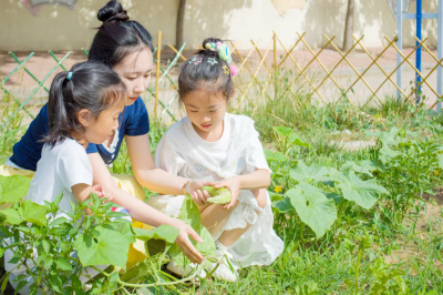 教师节特刊 | 平原县第三实验小学：红色领航 和美育人