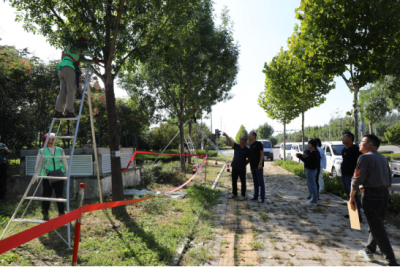 以赛砺技促提升 | 德州园林：举办园林植物生长季养护修剪技术竞赛