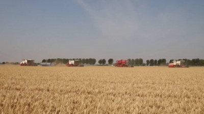 灼言 | 丰收，不止于粮满仓