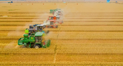 丰收节特刊 | 山东乡村振兴实践研究院：助力德州乡村振兴样板建设