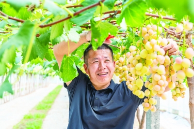 秋日禹城瓜果香