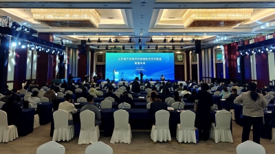 山东省产业链供应链国际合作对接会（泰国专场活动）在德州市举办