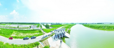 齐河：改革“三步棋”盘活“水资产”