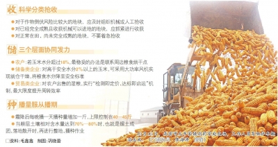 预计10月18日起山东将会进入降水间歇期，气象条件对土壤散墒较为有利 雨幕下的粮食“保卫战”怎么打