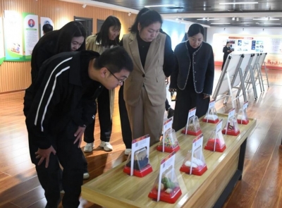 征求未成年人保护工作意见 | 宁津县检察院召开党外人士座谈会