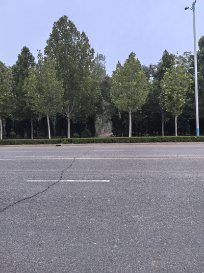 德报·民呼我应 | 德州市12345市民热线服务中心：速解村庄农用机械进出难题