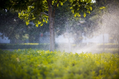 散文｜王庆荣：秋雨之夜的人生叩问