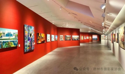 德州周建新摄影作品《国粹少年》亮相！第十四届中国艺术节在成都开幕