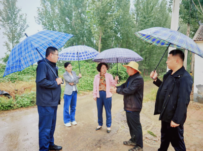 日烘1.4万吨！德州天衢新区：顶雨抢收保秋粮