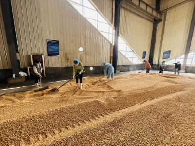 禹城辛寨镇：待利用厂房变身临时粮仓！