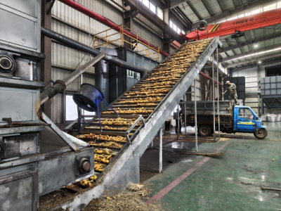 临邑：政企携手战阴雨！多地创新举措守护秋粮归仓