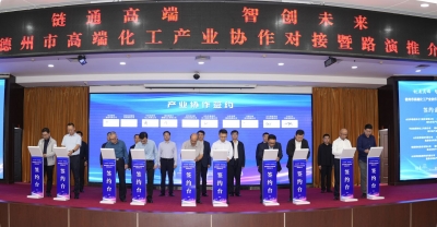 产业链上看德州 | 从规模扩张到质效双提，从单打独斗到抱团共赢：德州高端化工产业链聚势而升