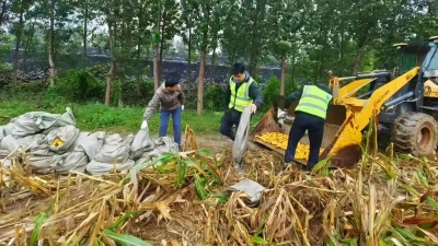 志愿红、夜谈、粮食银行……德州“组合拳”保障秋粮归仓