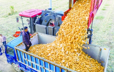 德报人物·听见 | 我的“锄禾记” 讲述人：周强